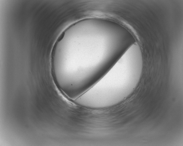X0000076331479200609290840