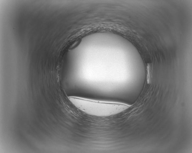 X0000076331491200609290839