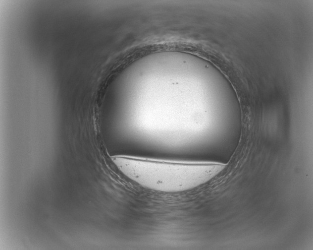 X0000076331493200609290839