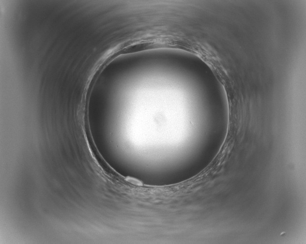X0000076330003200609291132