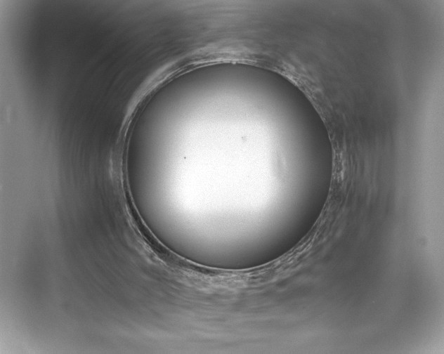X0000076330004200609291132