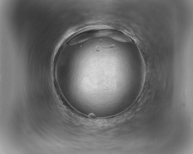X0000076330006200609291132
