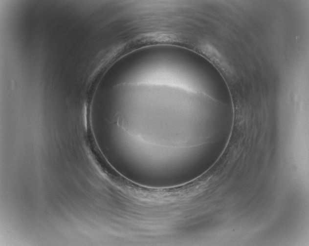 X0000076330014200609291132