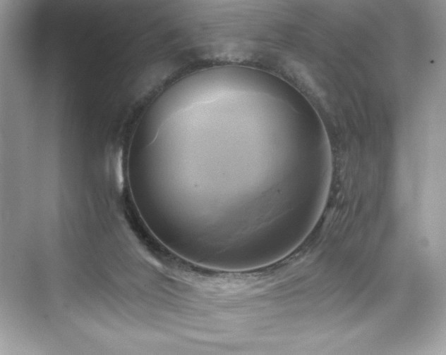 X0000076330020200609291132
