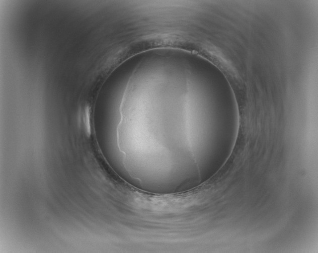 X0000076330022200609291132