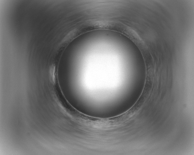 X0000076330024200609291132