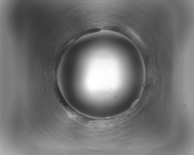 X0000076330025200609291132