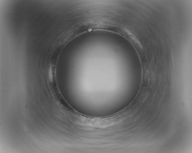 X0000076330026200609291132