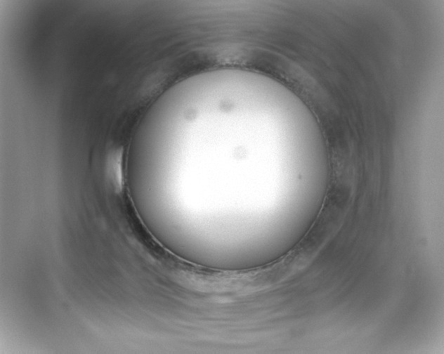 X0000076330028200609291132