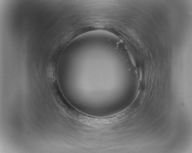 X0000076330031200609291132