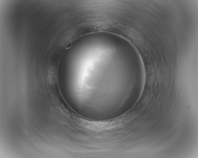 X0000076330034200609291132