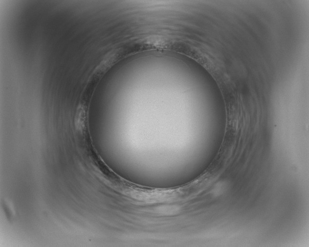 X0000076330036200609291132