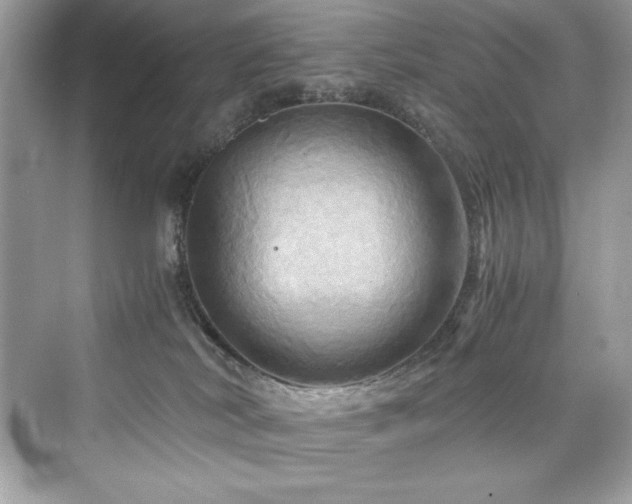 X0000076330038200609291132