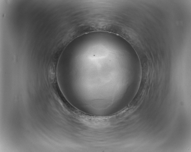 X0000076330040200609291131