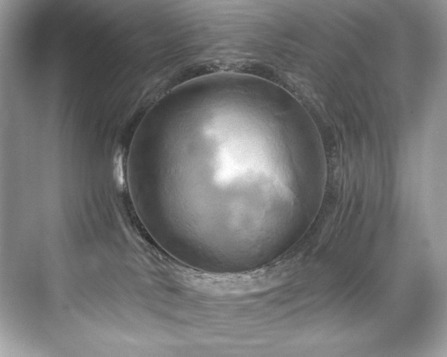 X0000076330042200609291131