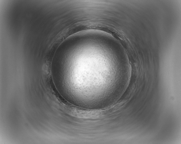X0000076330044200609291131