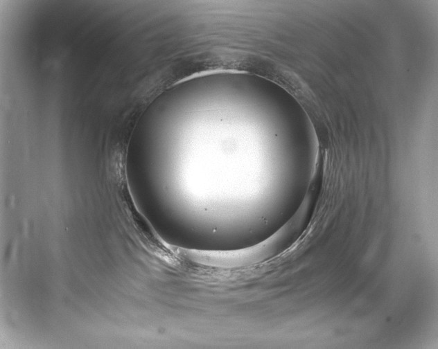 X0000076330045200609291131