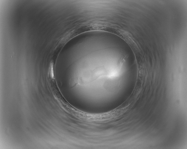 X0000076330046200609291131