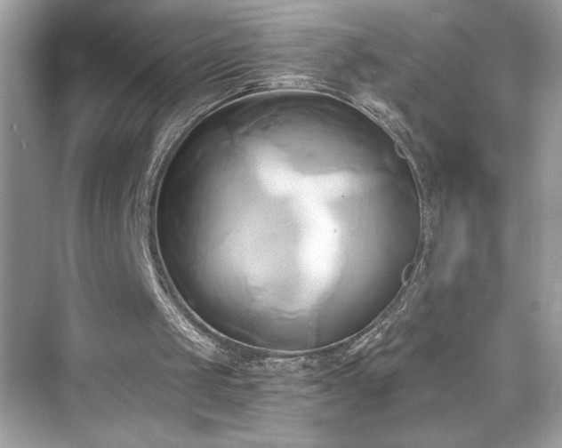X0000076330049200609291131