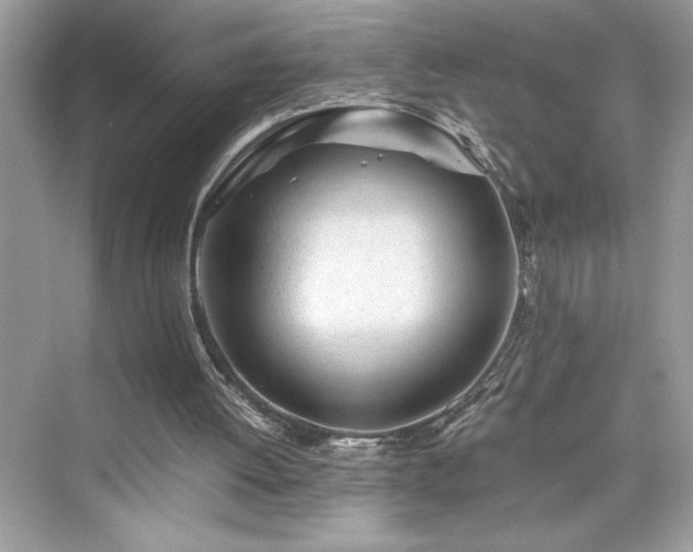 X0000076330052200609291131