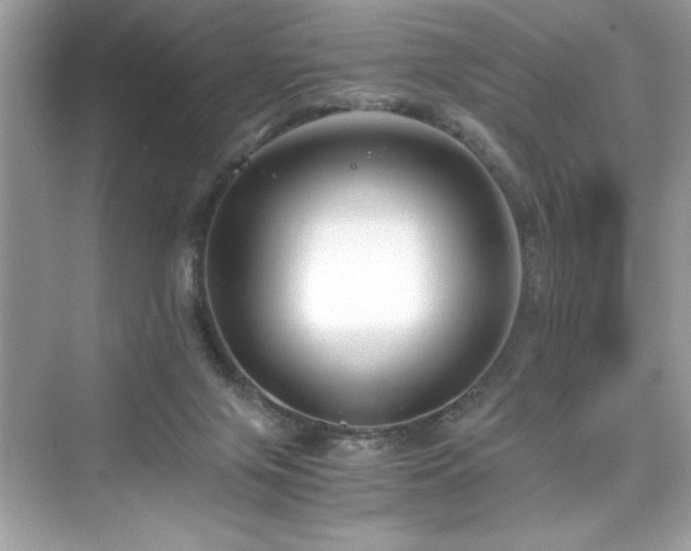 X0000076330071200609291131