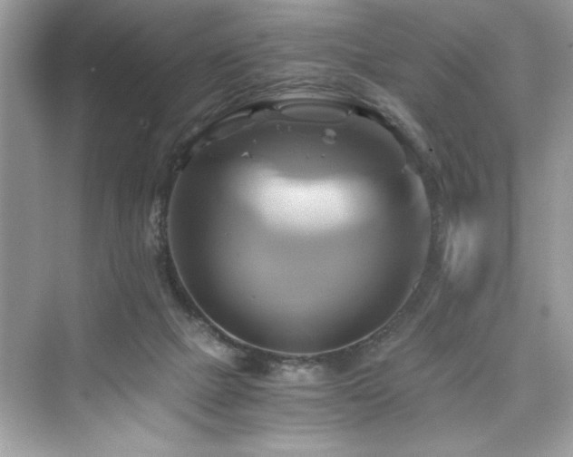 X0000076330073200609291131