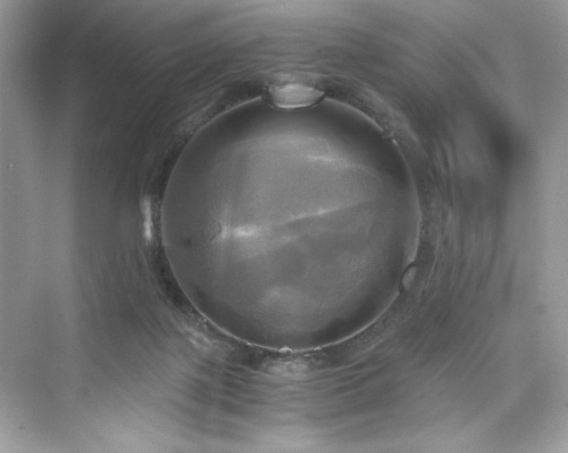 X0000076330075200609291131