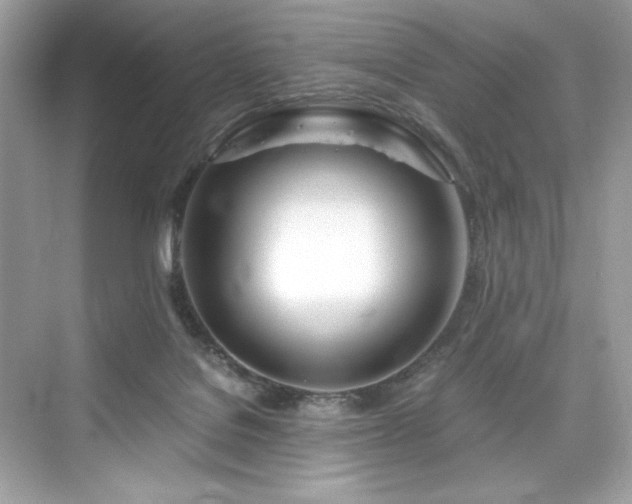 X0000076330076200609291131