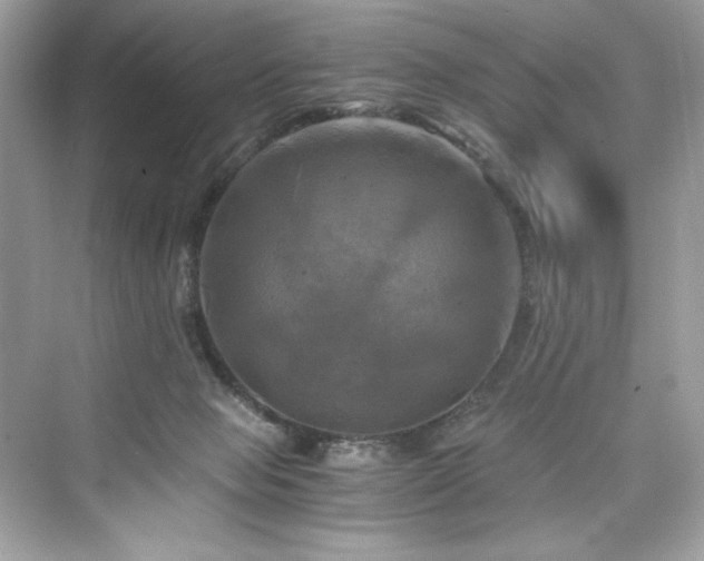 X0000076330077200609291131