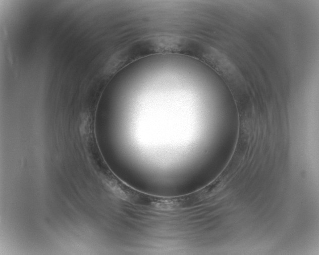 X0000076330079200609291131