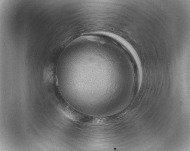 X0000076330080200609291131