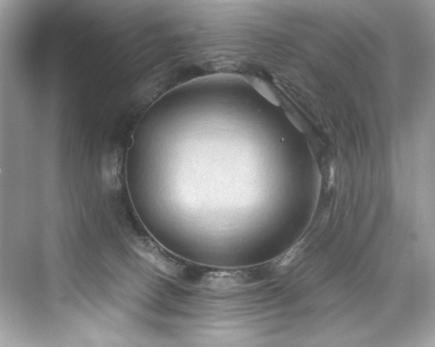 X0000076330082200609291131
