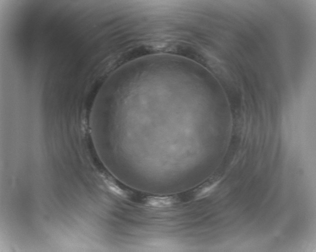 X0000076330085200609291131