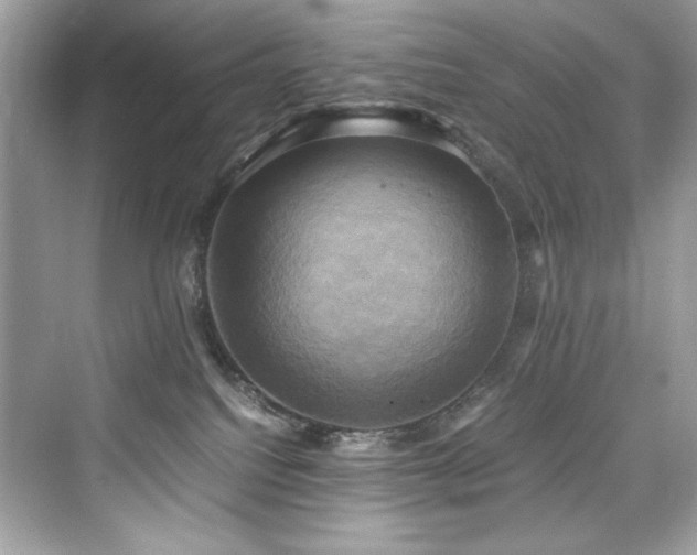 X0000076330088200609291131