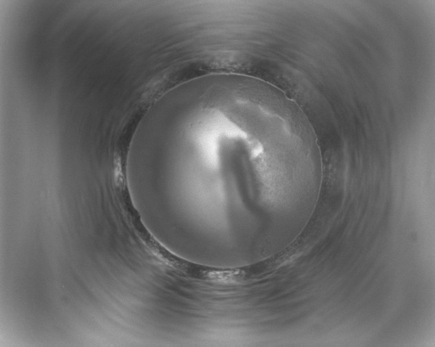X0000076330089200609291131