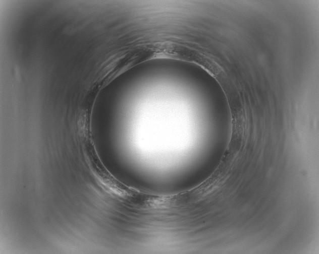 X0000076330092200609291131
