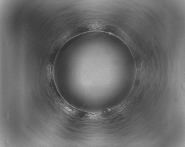 X0000076330093200609291131