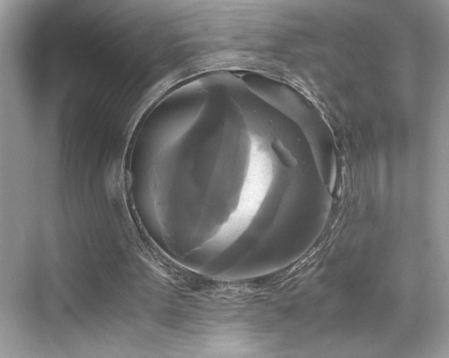 X0000076330099200609291130