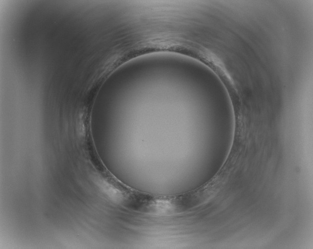 X0000076330114200609291130
