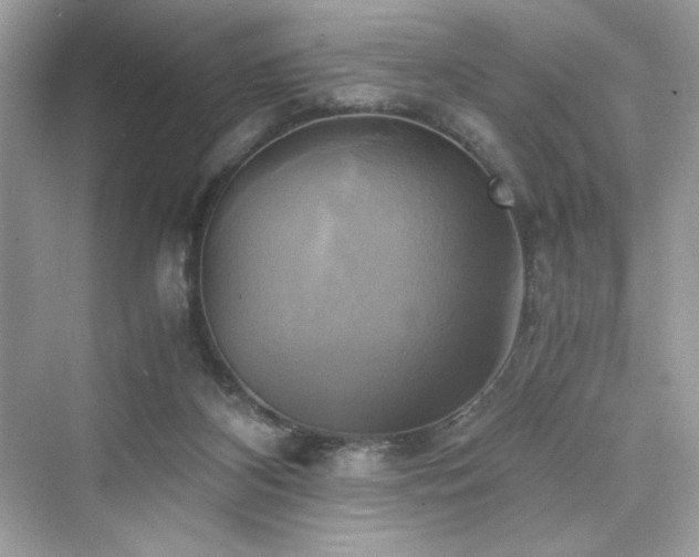 X0000076330116200609291130
