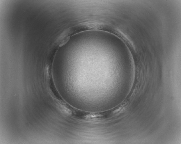 X0000076330117200609291130