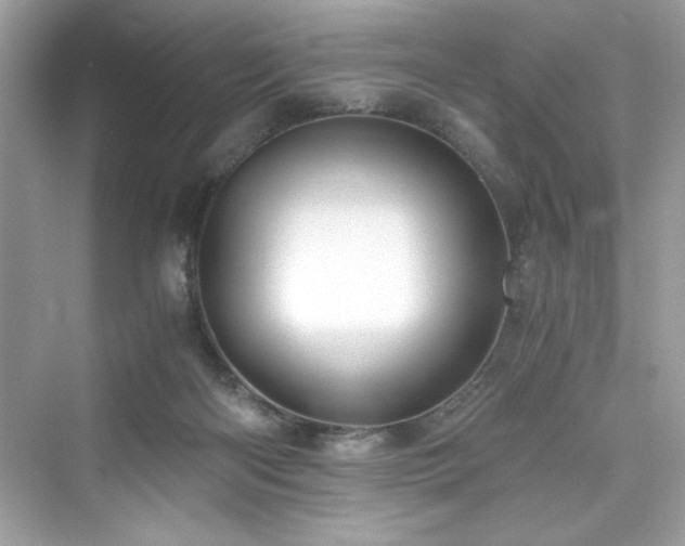 X0000076330122200609291130
