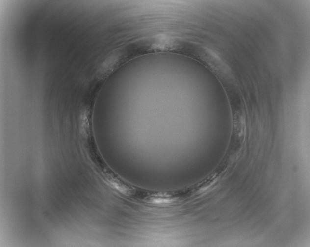 X0000076330127200609291130