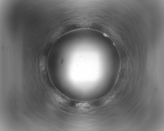 X0000076330133200609291130