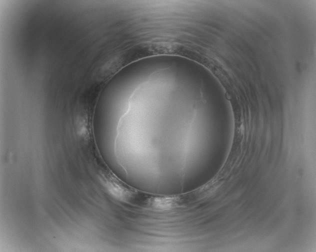 X0000076330134200609291130