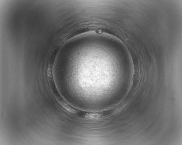 X0000076330137200609291130