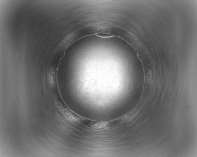 X0000076330138200609291130