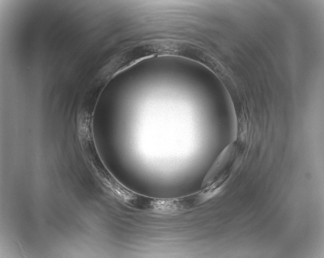 X0000076330141200609291130