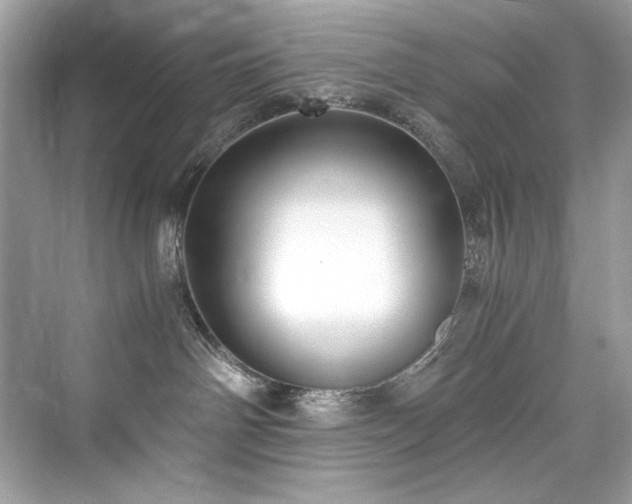 X0000076330142200609291130