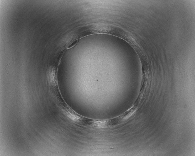 X0000076330143200609291130
